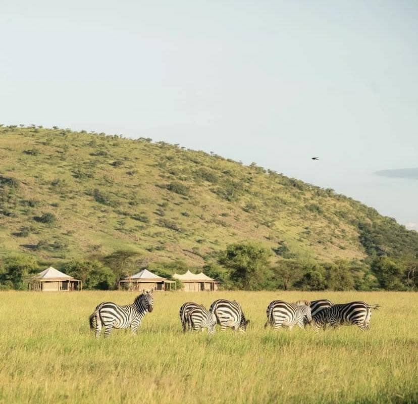 Serengeti National Park