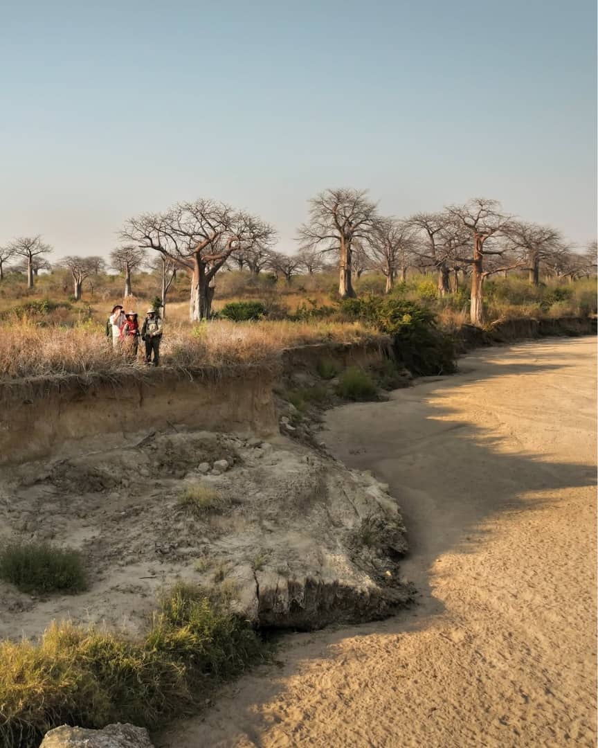 Tarangire National Park