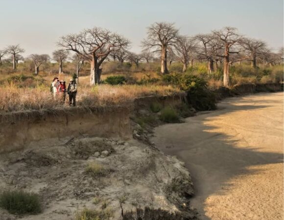 Tarangire