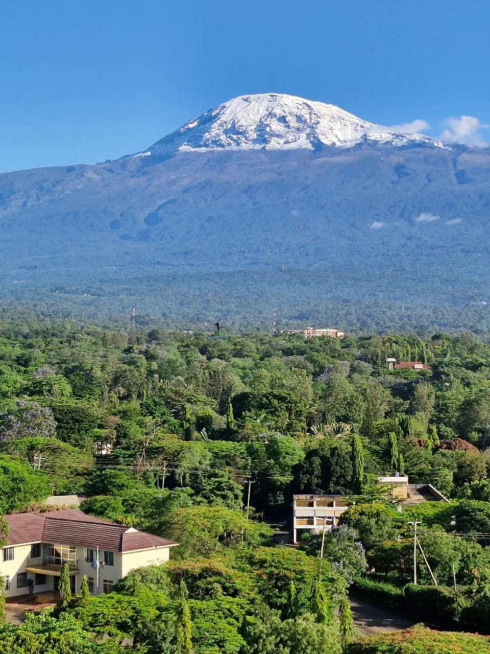 Mount Kilimanjaro